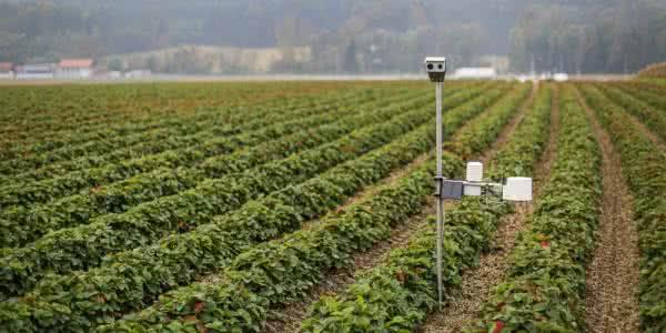 大田種植監控系統