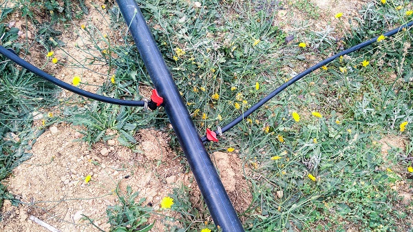 水肥一體化系統